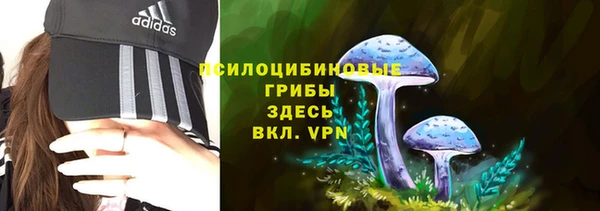 бутират Белокуриха