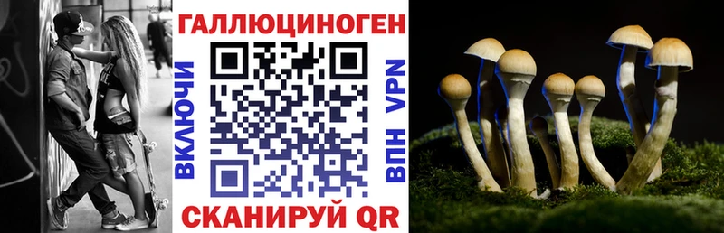 Псилоцибиновые грибы мицелий hydra как зайти Печора купить цена