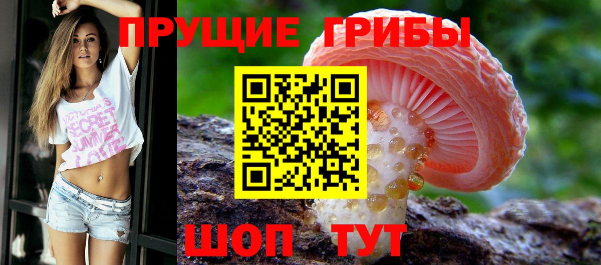 Псилоцибиновые грибы GOLDEN TEACHER  Вход с VPN  Печора 